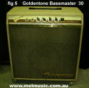goldentonebassmaster30.jpg