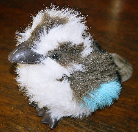 kooka/kooka-024_1a-ch.jpg